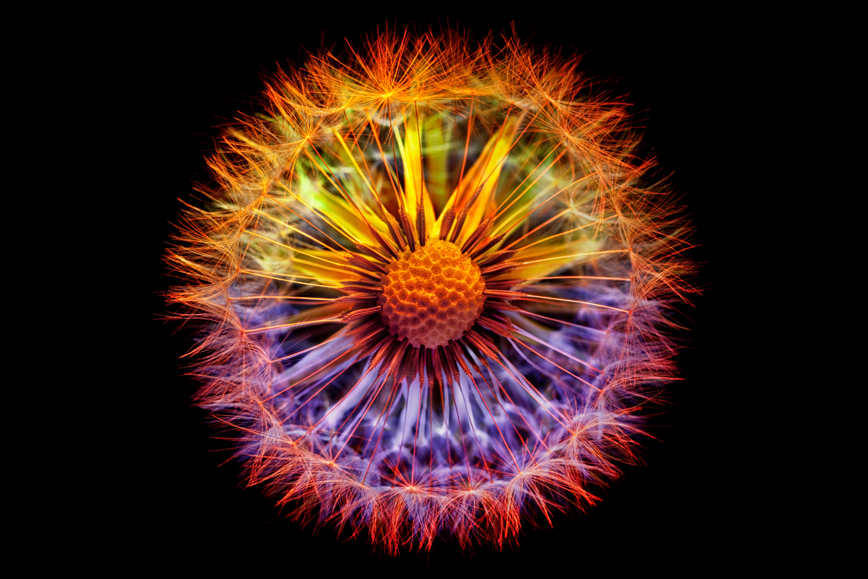 Fusion
